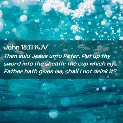 Picture 02 - John 18:11 KJV - Then said Jesus unto Peter, Put up thy sword into - Bible Verse Picture
