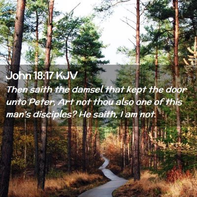 Picture 02 - John 18:17 KJV - Then saith the damsel that kept the door unto - Bible Verse Picture