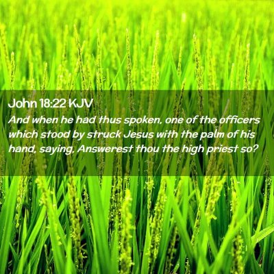 Picture 02 - John 18:22 KJV - And when he had thus spoken, one of the officers - Bible Verse Picture