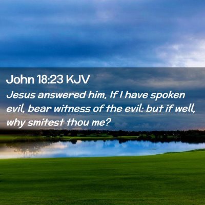 Picture 02 - John 18:23 KJV - Jesus answered him, If I have spoken evil, bear - Bible Verse Picture