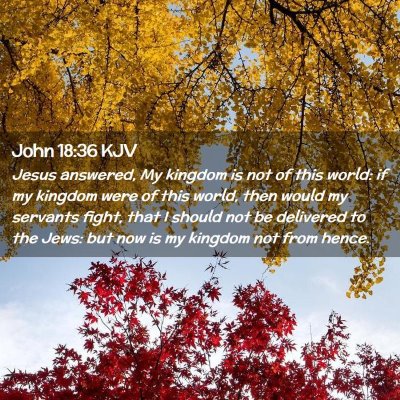 Picture 02 - John 18:36 KJV - Jesus answered, My kingdom is not of this world: - Bible Verse Picture