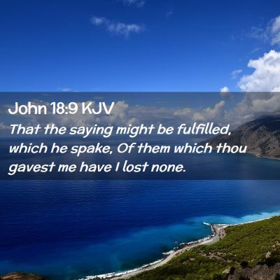 Picture 02 - John 18:9 KJV - That the saying might be fulfilled, which he - Bible Verse Picture