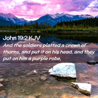 Picture 02 - John 19:2 KJV - And the soldiers platted a crown of thorns, and - Bible Verse Picture