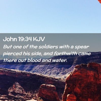 Picture 02 - John 19:34 KJV - But one of the soldiers with a spear pierced his - Bible Verse Picture