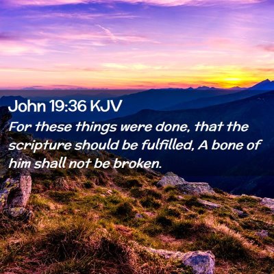 Picture 02 - John 19:36 KJV - For these things were done, that the scripture - Bible Verse Picture
