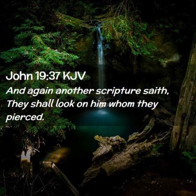 Picture 02 - John 19:37 KJV - And again another scripture saith, They shall - Bible Verse Picture