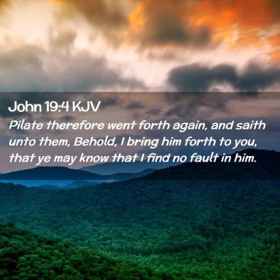 Picture 02 - John 19:4 KJV - Pilate therefore went forth again, and saith unto - Bible Verse Picture