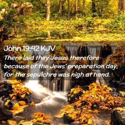 Picture 02 - John 19:42 KJV - There laid they Jesus therefore because of the - Bible Verse Picture