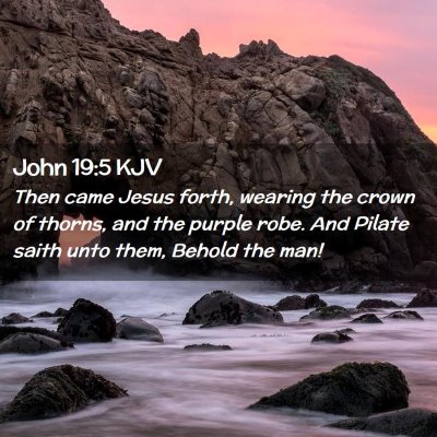 Picture 02 - John 19:5 KJV - Then came Jesus forth, wearing the crown of - Bible Verse Picture