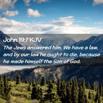 Picture 02 - John 19:7 KJV - The Jews answered him, We have a law, and by our - Bible Verse Picture