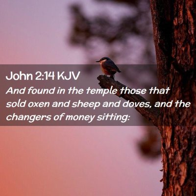 Picture 02 - John 2:14 KJV - And found in the temple those that sold oxen and - Bible Verse Picture