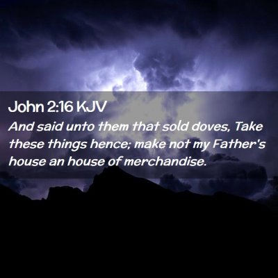 Picture 02 - John 2:16 KJV - And said unto them that sold doves, Take these - Bible Verse Picture