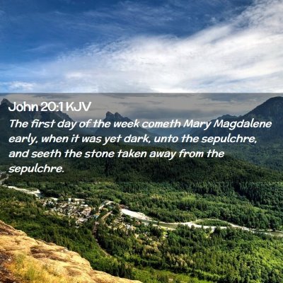 Picture 02 - John 20:1 KJV - The first day of the week cometh Mary Magdalene - Bible Verse Picture