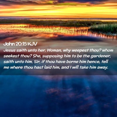 Picture 02 - John 20:15 KJV - Jesus saith unto her, Woman, why weepest thou? - Bible Verse Picture