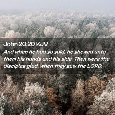 Picture 02 - John 20:20 KJV - And when he had so said, he shewed unto them his - Bible Verse Picture