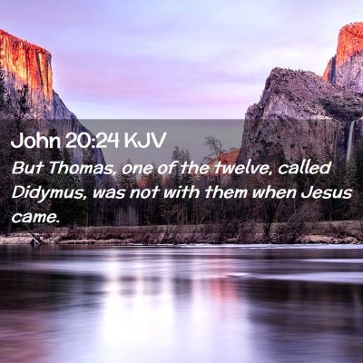 Picture 02 - John 20:24 KJV - But Thomas, one of the twelve, called Didymus, - Bible Verse Picture