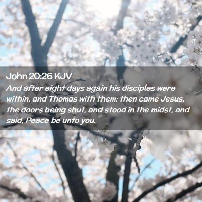 Picture 02 - John 20:26 KJV - And after eight days again his disciples were - Bible Verse Picture