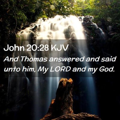 Picture 02 - John 20:28 KJV - And Thomas answered and said unto him, My LORD - Bible Verse Picture