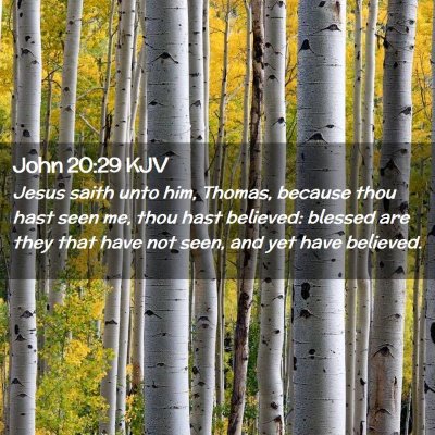 Picture 02 - John 20:29 KJV - Jesus saith unto him, Thomas, because thou hast - Bible Verse Picture