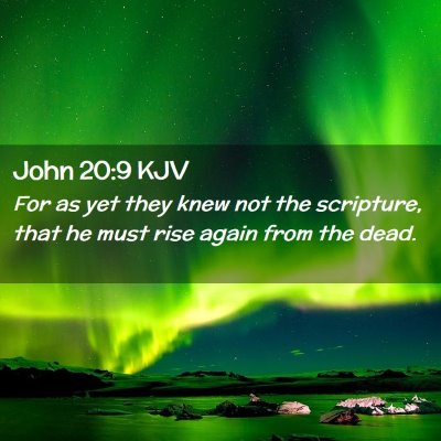 Picture 02 - John 20:9 KJV - For as yet they knew not the scripture, that he - Bible Verse Picture