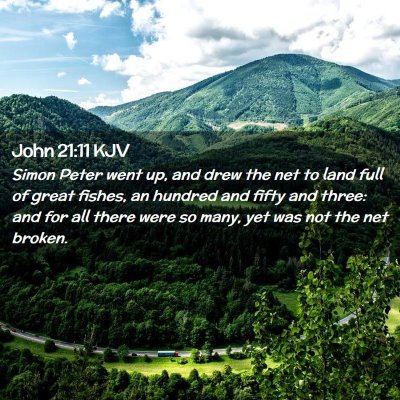 Picture 02 - John 21:11 KJV - Simon Peter went up, and drew the net to land - Bible Verse Picture