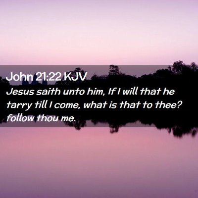 Picture 02 - John 21:22 KJV - Jesus saith unto him, If I will that he tarry - Bible Verse Picture
