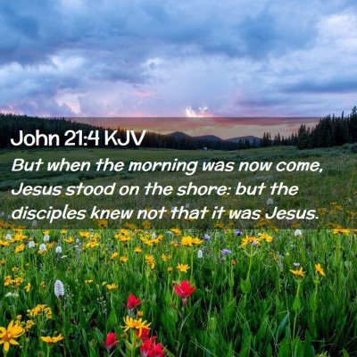 Picture 02 - John 21:4 KJV - But when the morning was now come, Jesus stood on - Bible Verse Picture