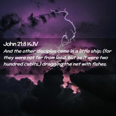 Picture 02 - John 21:8 KJV - And the other disciples came in a little ship; - Bible Verse Picture
