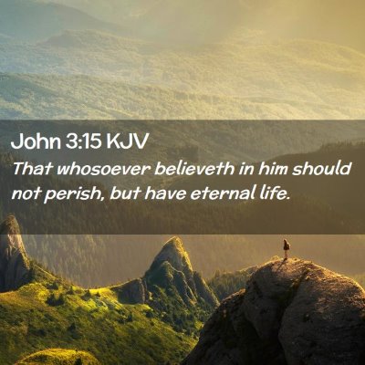 Picture 02 - John 3:15 KJV - That whosoever believeth in him should not - Bible Verse Picture