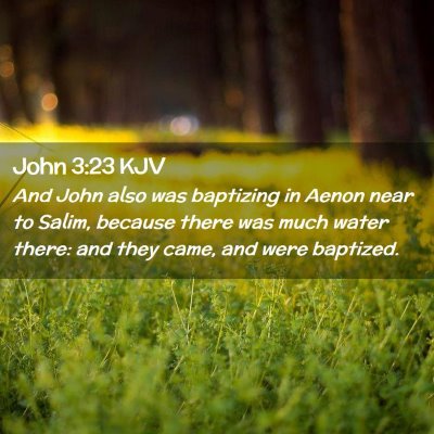Picture 02 - John 3:23 KJV - And John also was baptizing in Aenon near to - Bible Verse Picture