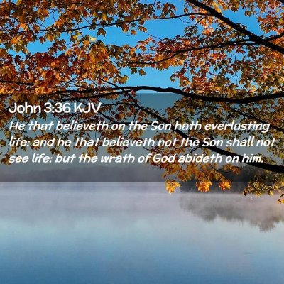 Picture 02 - John 3:36 KJV - He that believeth on the Son hath everlasting - Bible Verse Picture