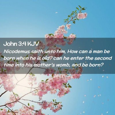 Picture 02 - John 3:4 KJV - Nicodemus saith unto him, How can a man be born - Bible Verse Picture
