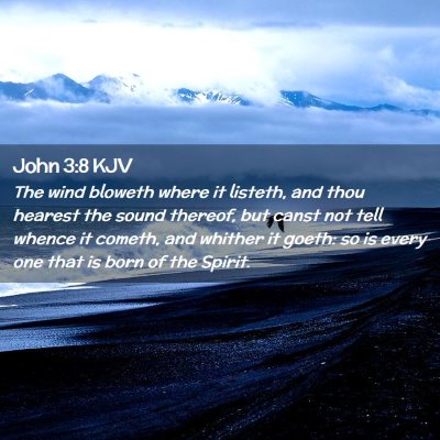 Picture 02 - John 3:8 KJV - The wind bloweth where it listeth, and thou - Bible Verse Picture