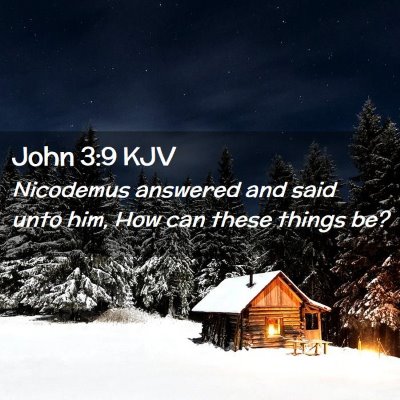 Picture 02 - John 3:9 KJV - Nicodemus answered and said unto him, How can - Bible Verse Picture