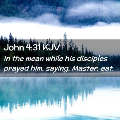 Picture 02 - John 4:31 KJV - In the mean while his disciples prayed him, - Bible Verse Picture