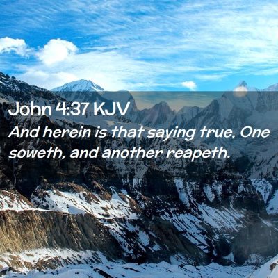 Picture 02 - John 4:37 KJV - And herein is that saying true, One soweth, and - Bible Verse Picture