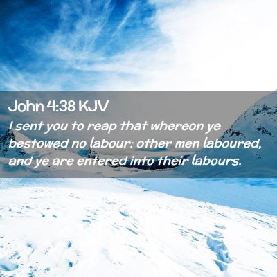 Picture 02 - John 4:38 KJV - I sent you to reap that whereon ye bestowed no - Bible Verse Picture