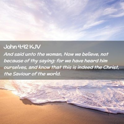 Picture 02 - John 4:42 KJV - And said unto the woman, Now we believe, not - Bible Verse Picture