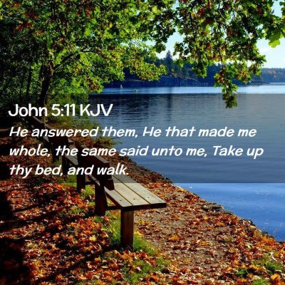 Picture 02 - John 5:11 KJV - He answered them, He that made me whole, the same - Bible Verse Picture