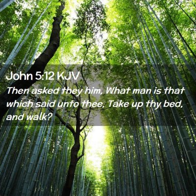 Picture 02 - John 5:12 KJV - Then asked they him, What man is that which said - Bible Verse Picture