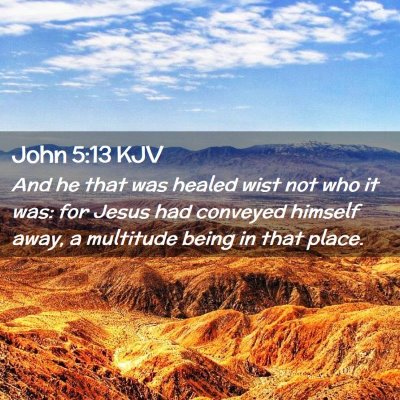 Picture 02 - John 5:13 KJV - And he that was healed wist not who it was: for - Bible Verse Picture