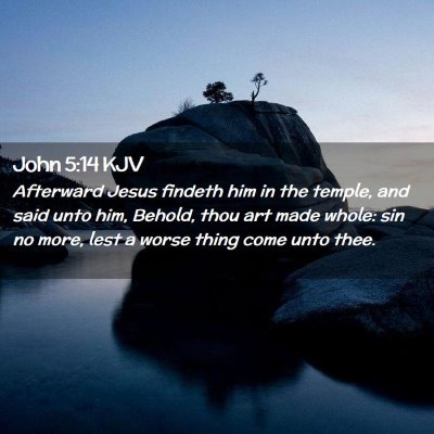 Picture 02 - John 5:14 KJV - Afterward Jesus findeth him in the temple, and - Bible Verse Picture