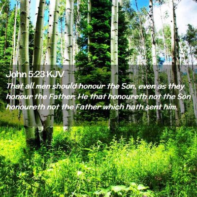 Picture 02 - John 5:23 KJV - That all men should honour the Son, even as they - Bible Verse Picture