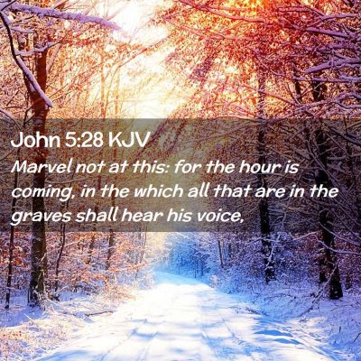 Picture 02 - John 5:28 KJV - Marvel not at this: for the hour is coming, in - Bible Verse Picture