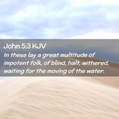 Picture 02 - John 5:3 KJV - In these lay a great multitude of impotent folk, - Bible Verse Picture