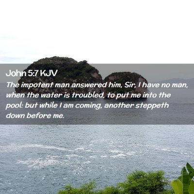 Picture 02 - John 5:7 KJV - The impotent man answered him, Sir, I have no - Bible Verse Picture