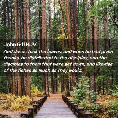 Picture 02 - John 6:11 KJV - And Jesus took the loaves; and when he had given - Bible Verse Picture