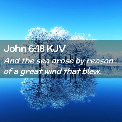 Picture 02 - John 6:18 KJV - And the sea arose by reason of a great wind that - Bible Verse Picture