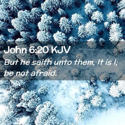 Picture 02 - John 6:20 KJV - But he saith unto them, It is I; be not - Bible Verse Picture