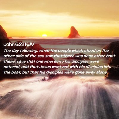 Picture 02 - John 6:22 KJV - The day following, when the people which stood on - Bible Verse Picture